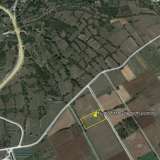  For Rent , Agricultural 3000 m2 Pierea 8098529 thumb4