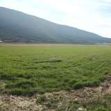  For Rent , Agricultural 5500 m2 Pierea 8098530 thumb1