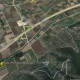  For Rent , Agricultural 5500 m2 Pierea 8098530 thumb6