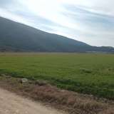 Miete , Agricultural 5500 m2 Pierea 8098530 thumb0