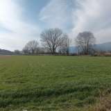  Miete , Agricultural 5500 m2 Pierea 8098530 thumb3