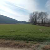  Miete , Agricultural 5500 m2 Pierea 8098530 thumb2
