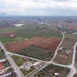  For Sale - (€ 0 / m2), Agricultural 10153 m2 Doxato 8098536 thumb9