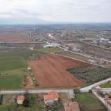  For Sale - (€ 0 / m2), Agricultural 10153 m2 Doxato 8098536 thumb7