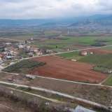  For Sale - (€ 0 / m2), Agricultural 10153 m2 Doxato 8098536 thumb2