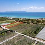  For Sale - (€ 0 / m2), Agricultural 3168 m2 Eleftheres 8098054 thumb2