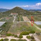  For Sale - (€ 0 / m2), Agricultural 3168 m2 Eleftheres 8098054 thumb5