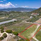  For Sale - (€ 0 / m2), Agricultural 3168 m2 Eleftheres 8098054 thumb6