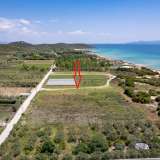  For Sale - (€ 0 / m2), Agricultural 3168 m2 Eleftheres 8098054 thumb3