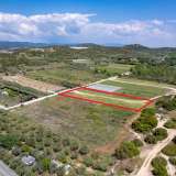  For Sale - (€ 0 / m2), Agricultural 3168 m2 Eleftheres 8098054 thumb4