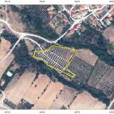  For Sale - (€ 0 / m2), Agricultural 5750 m2 Chrisoupoli 8098540 thumb2