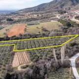  For Sale - (€ 0 / m2), Agricultural 5750 m2 Chrisoupoli 8098540 thumb8