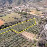  For Sale - (€ 0 / m2), Agricultural 5750 m2 Chrisoupoli 8098540 thumb7