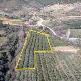  For Sale - (€ 0 / m2), Agricultural 5750 m2 Chrisoupoli 8098540 thumb6