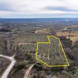  For Sale - (€ 0 / m2), Agricultural 5750 m2 Chrisoupoli 8098540 thumb3