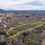  For Sale - (€ 0 / m2), Agricultural 5750 m2 Chrisoupoli 8098540 thumb0