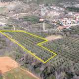  For Sale - (€ 0 / m2), Agricultural 5750 m2 Chrisoupoli 8098540 thumb5