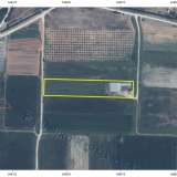  For Sale - (€ 0 / m2), Agricultural 7812 m2 Chrisoupoli 8098551 thumb2