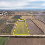  For Sale - (€ 0 / m2), Agricultural 7812 m2 Chrisoupoli 8098551 thumb6