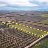  For Sale - (€ 0 / m2), Agricultural 7812 m2 Chrisoupoli 8098551 thumb5