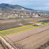  For Sale - (€ 0 / m2), Agricultural 7812 m2 Chrisoupoli 8098551 thumb7