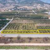  For Sale - (€ 0 / m2), Agricultural 2174 m2 Chrisoupoli 8098568 thumb9
