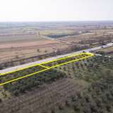  For Sale - (€ 0 / m2), Agricultural 2174 m2 Chrisoupoli 8098568 thumb8