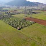  For Sale - (€ 0 / m2), Agricultural 3353 m2 Doxato 8098574 thumb5