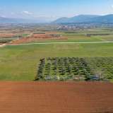  For Sale - (€ 0 / m2), Agricultural 3353 m2 Doxato 8098574 thumb3