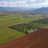  For Sale - (€ 0 / m2), Agricultural 3353 m2 Doxato 8098574 thumb1