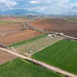  For Sale - (€ 0 / m2), Agricultural 4420 m2 Drama 8098604 thumb6