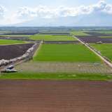  For Sale - (€ 0 / m2), Agricultural 4420 m2 Drama 8098604 thumb1