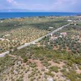 For Sale - (€ 0 / m2), Agricultural 4122.34 m2 Thasos 8098062 thumb8