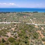  For Sale - (€ 0 / m2), Agricultural 4122.34 m2 Thasos 8098062 thumb3
