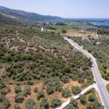  For Sale - (€ 0 / m2), Agricultural 4122.34 m2 Thasos 8098062 thumb7