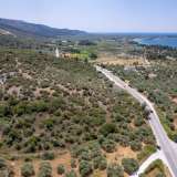  For Sale - (€ 0 / m2), Agricultural 4122.34 m2 Thasos 8098062 thumb5