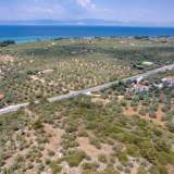  For Sale - (€ 0 / m2), Agricultural 4122.34 m2 Thasos 8098062 thumb4