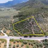  For Sale - (€ 0 / m2), Agricultural 4122.34 m2 Thasos 8098062 thumb2