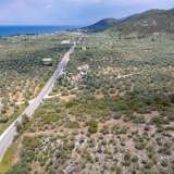  For Sale - (€ 0 / m2), Agricultural 4122.34 m2 Thasos 8098062 thumb9