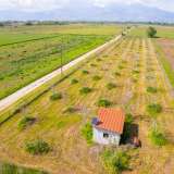  For Sale - (€ 0 / m2), Agricultural 5456 m2 Drama 8098623 thumb2