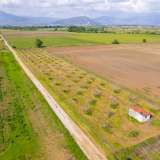  For Sale - (€ 0 / m2), Agricultural 5456 m2 Drama 8098623 thumb1