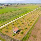  For Sale - (€ 0 / m2), Agricultural 5456 m2 Drama 8098623 thumb0