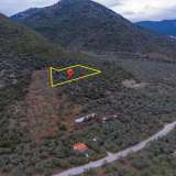  For Sale - (€ 0 / m2), Agricultural 4632 m2 Thasos 8098652 thumb2