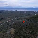  For Sale - (€ 0 / m2), Agricultural 4632 m2 Thasos 8098652 thumb0