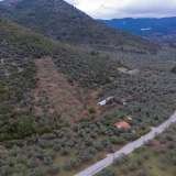  For Sale - (€ 0 / m2), Agricultural 4632 m2 Thasos 8098652 thumb3