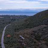  For Sale - (€ 0 / m2), Agricultural 5365 m2 Thasos 8098654 thumb4