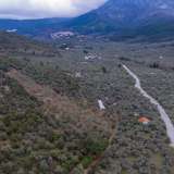  For Sale - (€ 0 / m2), Agricultural 5365 m2 Thasos 8098654 thumb3