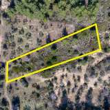  For Sale - (€ 0 / m2), Agricultural 1284 m2 Thasos 8098657 thumb4