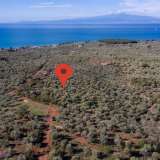  For Sale - (€ 0 / m2), Agricultural 4237.72 m2 Thasos 8098659 thumb0