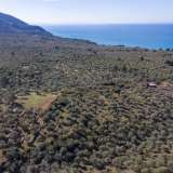 For Sale - (€ 0 / m2), Agricultural 4237.72 m2 Thasos 8098659 thumb4